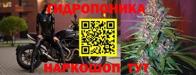 прущие крисы Партизанск