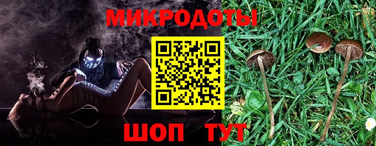 Галлюциногенные грибы мухоморы Соликамск