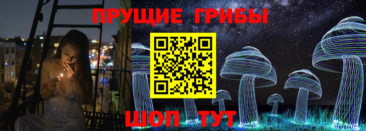 Соликамск  Псилоцибиновые грибы прущие грибы  Псилоцибиновые грибы Psilocybine cubensis  Вход с VPN 